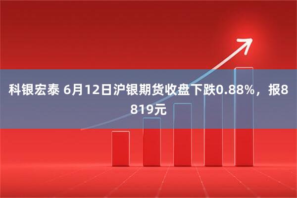 科银宏泰 6月12日沪银期货收盘下跌0.88%，报8819元
