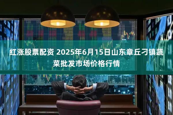 红涨股票配资 2025年6月15日山东章丘刁镇蔬菜批发市场价格行情