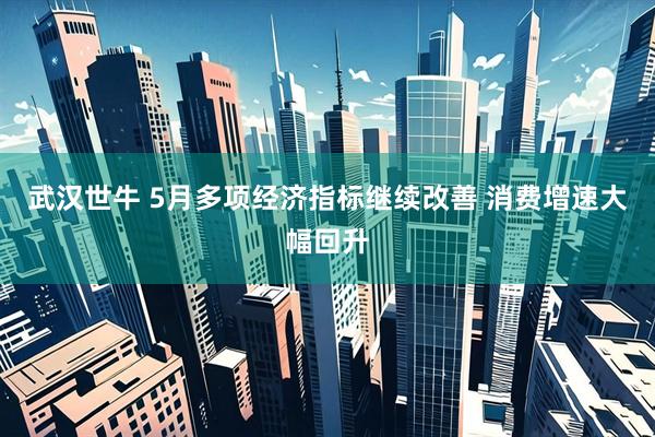 武汉世牛 5月多项经济指标继续改善 消费增速大幅回升