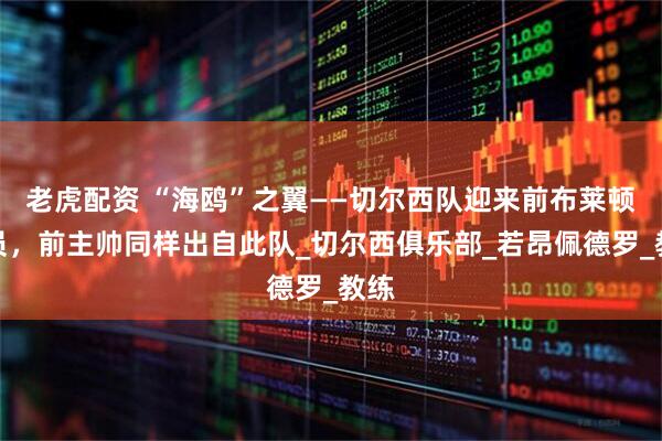 老虎配资 “海鸥”之翼——切尔西队迎来前布莱顿球员，前主帅同样出自此队_切尔西俱乐部_若昂佩德罗_教练
