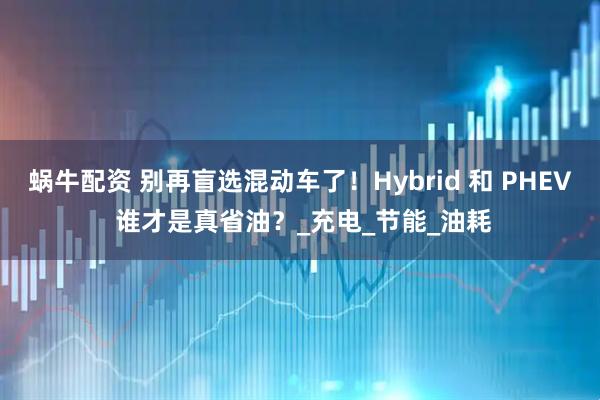 蜗牛配资 别再盲选混动车了！Hybrid 和 PHEV 谁才是真省油？_充电_节能_油耗