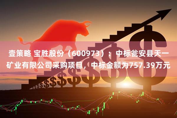 壹策略 宝胜股份（600973）：中标瓮安县天一矿业有限公司采购项目，中标金额为757.39万元